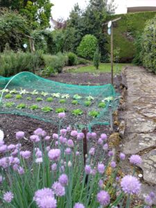que planter au potager en mai avec Espaces Paysagers