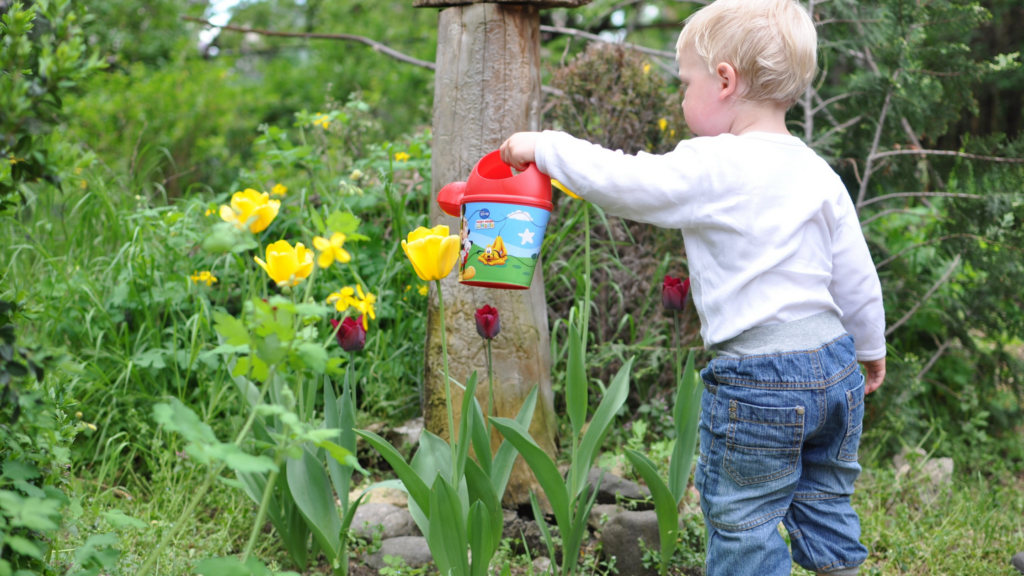 comment arroser son jardin en été 