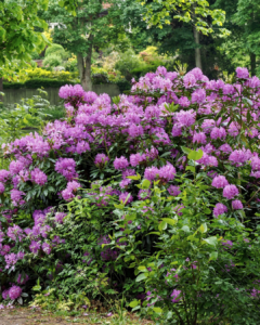 comment arroser jardin espaces paysagers